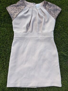 Line and Dot Sequin Cap Sleeve Mini Dress in Champagne color